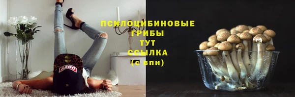 герыч Липки