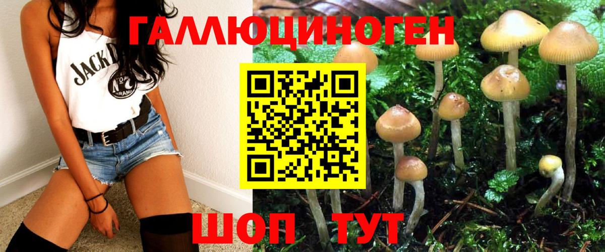 Псилоцибиновые грибы мицелий  Галлюциногенные грибы Magic Shrooms  наркота  Вход с VPN  Ступино 